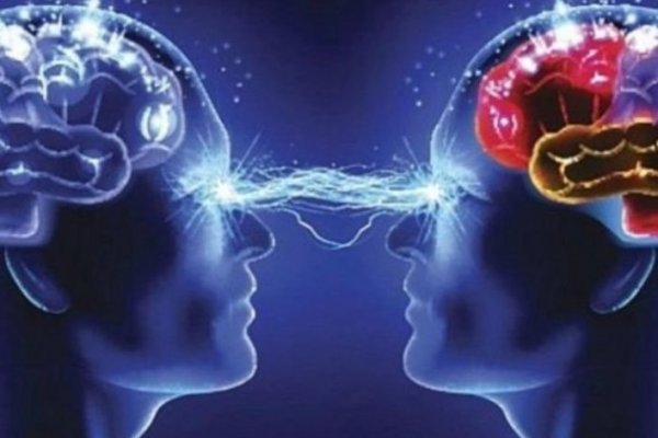 Así funcionan las "estafas psicológicas" en internet