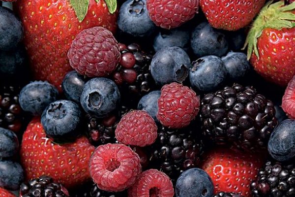 El financiamiento verde de Hortifrut