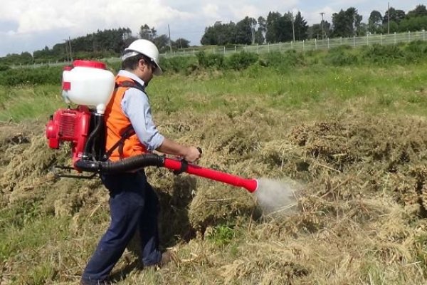 Buscan combatir incendios con nanotecnología