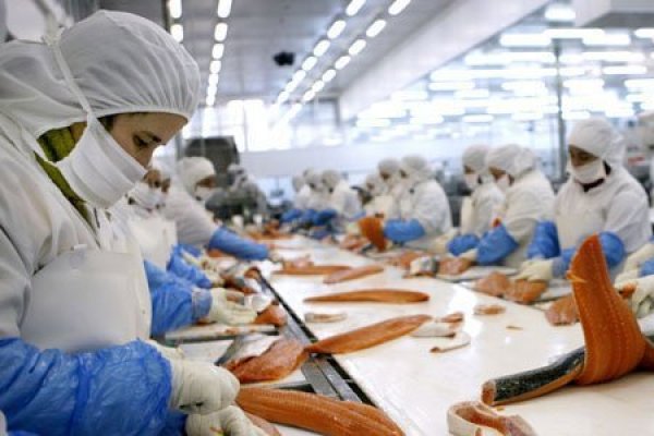 SalmonChile se reúne con Walker