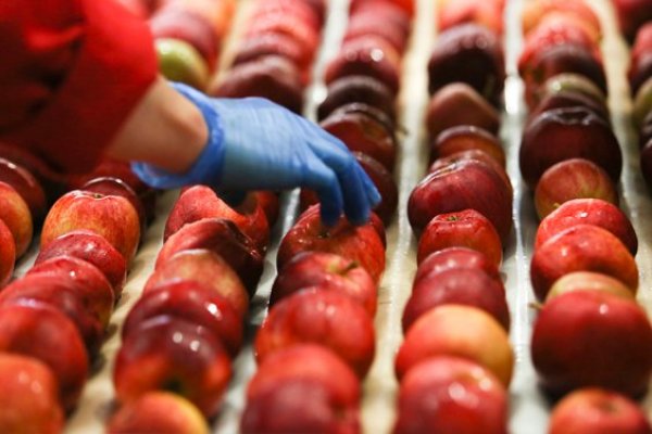 Empresas tras caso de listeria están entre las 25 más relevantes de la industria frutícola