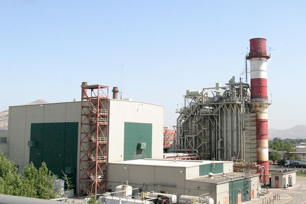 Expertos analizan el codiciado contrato de central El Campesino con distribuidoras