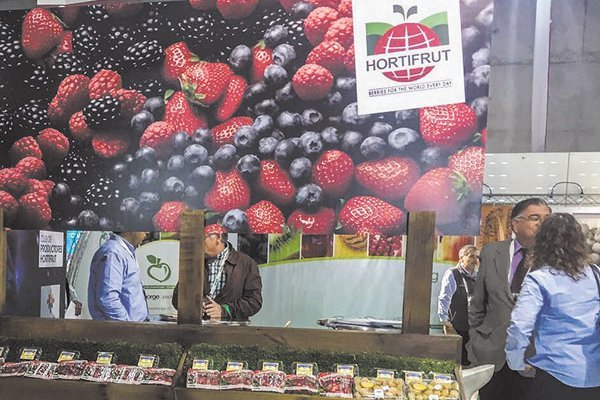Bayer y Hortifrut firman alianza para cultivos