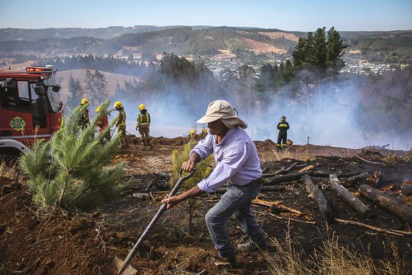 Más incendios elevan cantidad de hectáreas afectadas