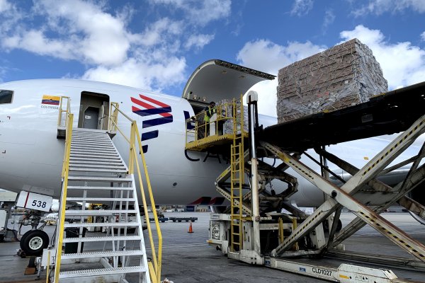 Salió el vuelo del amor: Latam transportó más de 9.000 toneladas de flores para San Valentín
