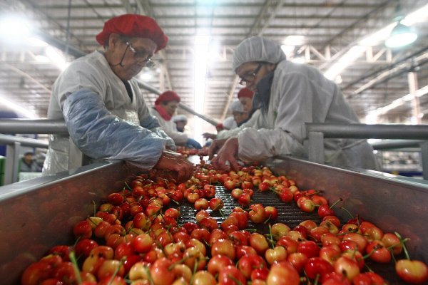Chile y Perú unirán fuerzas para potenciar agroexportación en Asia