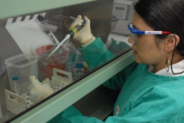 Se encienden las alertas: gasto en I+D de Chile sigue a la baja