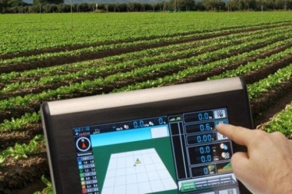 Tendencias que podrían revolucionar la forma de producir alimentos
