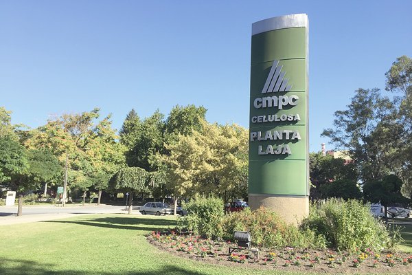 Empresas CMPC quintuplicó sus utilidades a US$ 502,3 millones en 2018