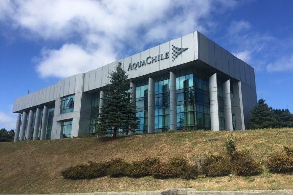 AquaChile define nuevo equipo que liderará "segunda productora de salmones del mundo"