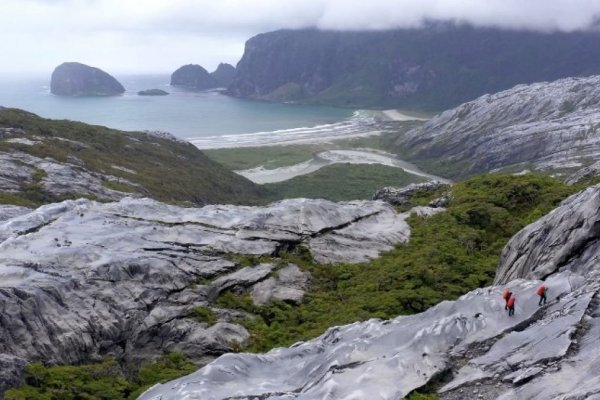 Chile quiere postular isla patagónica "Madre de Dios" como Patrimonio Natural de la Humanidad