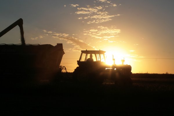 Agricultores de EEUU excluidos de Japón tras retiro de TPP claman a Washington por pérdida de mercados