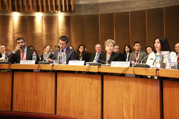 Direcon recalca importancia del comercio con Asia Pacífico en seminario de Cepal