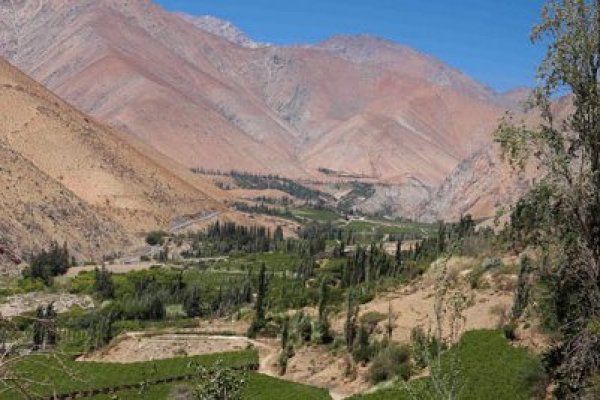 El pisco chileno contraataca ante la arremetida peruana