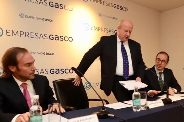 Matías Pérez Cruz reaparece en junta de Gasco tras incidente en Lago Ranco