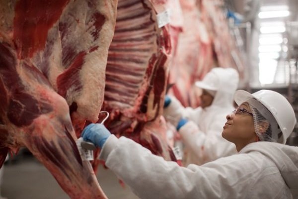 Efecto por peste porcina africana catapulta acciones del rey de la carne y "recién comienza"