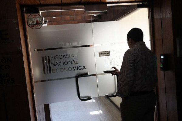 Manfred Zink dirigirá nueva Unidad de Fiscalización de la FNE