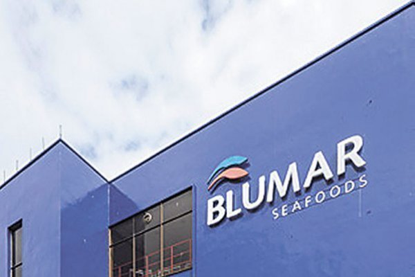 Familias Santa Cruz y Sarquis venderán pesquera y salmonera Blumar