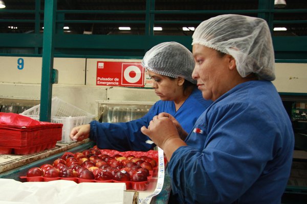 Empresarios manifiestan "positiva opinión" de la mano de obra extranjera y resaltan "mayor compromiso y disposición al trabajo"