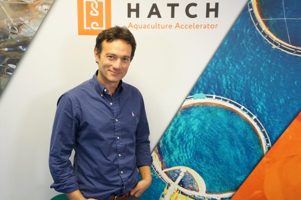 Firma biotecnológica chilena crea el primer “chamyto” para salmones