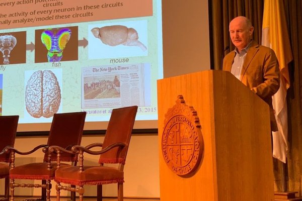 Visita de experto español que decodificó el cerebro humano impulsa proyecto de ley sobre neuroderechos en Chile