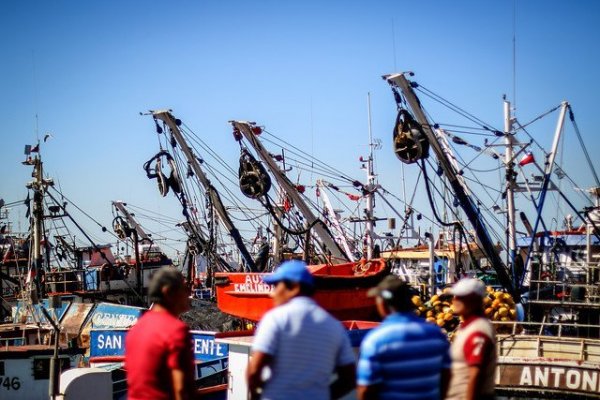 Pescadores y cuenta pública: "Presidente Piñera debe jugársela por un fraccionamiento justo para los artesanales"