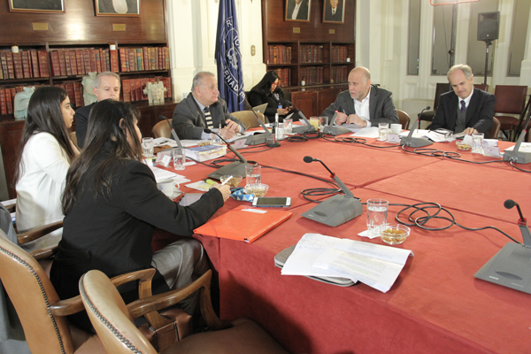 <p>La comisión de Economía del Senado.</p>