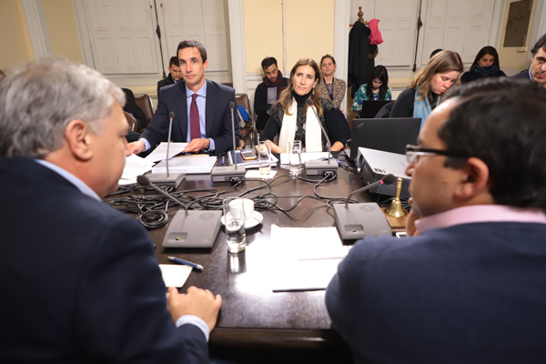 Ministra Schmidt saca participación ciudadana anticipada de reforma al SEIA
