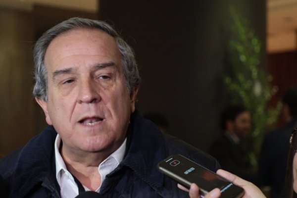 <p>Andrés Santa Cruz: “Aquí se está instaurando un veto” a las AFP</p>