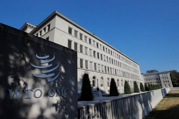 OMC advierte del aumento de las barreras comerciales antes de la cumbre del G20