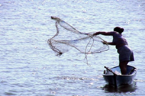 Cuotas de género en Ley de Pesca: artesanas impulsan proyecto de Ley