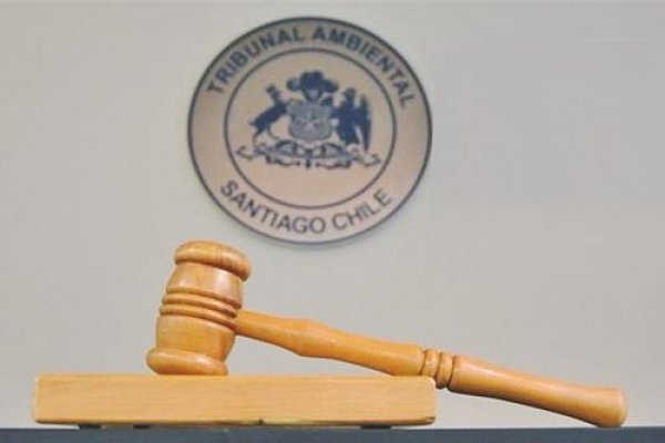 Designación de jueces de Tribunales Ambientales ha demorado 1,4 años en promedio