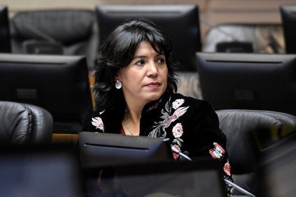 Senadora DC propone nuevo acuerdo opositor para destrabar la economía y superar el "estancamiento"