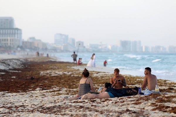 Turismo de México en jaque por las invasivas algas marinas que cubren las playas