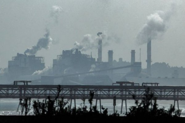 Gobierno triplica multas por delito ambiental y deja en manos del Ministerio Público iniciar acción penal