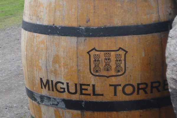 Miguel Torres frena inscripción de marca que un tercero buscaba para registrar cervezas