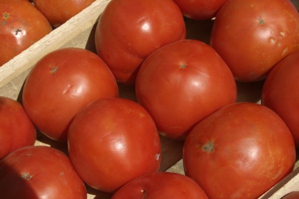 México acusa de "intransigente" a EEUU por aranceles a los tomates