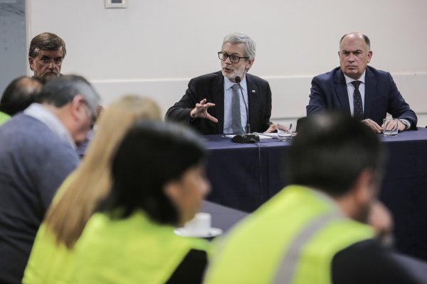 Ministro Fontaine estudiará postergar 24 meses ley de la jibia por petición de pescadores