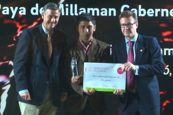 Ahora en DF: Catad´Or premió a los mejores vinos de Chile y el mundo