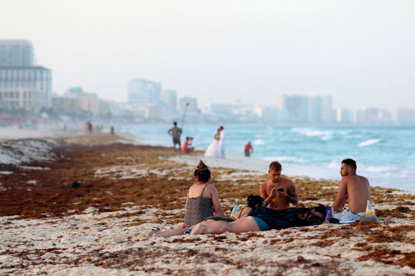 <p>Cae ocupación hotelera en Playa del Carmen por sargazo</p>