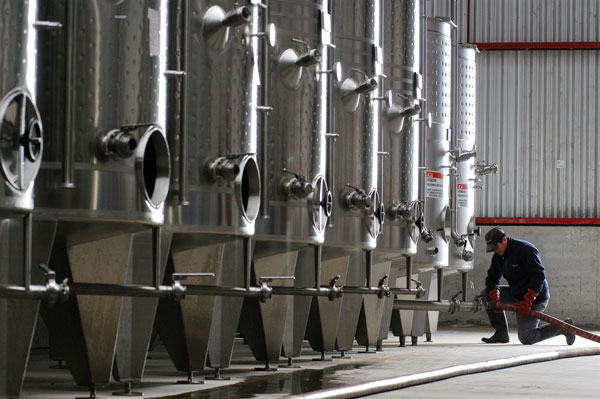 Oportunidad para elevar la productividad de las viñas está en la automatización de bodegas