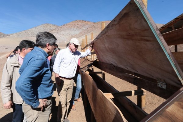 Decretan "zona de emergencia agrícola" en Coquimbo por la sequía