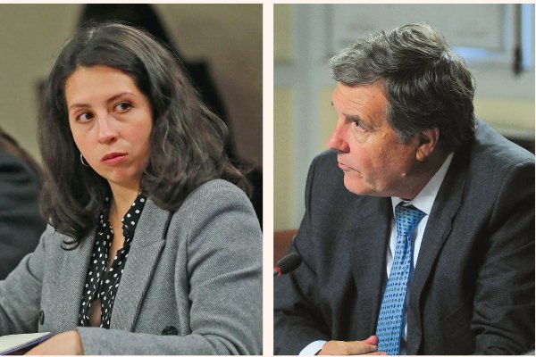 <p>La presidenta de la instancia, la diputada Gael Yeomans. El diputado UDI de la comisión, Patricio Melero.</p>