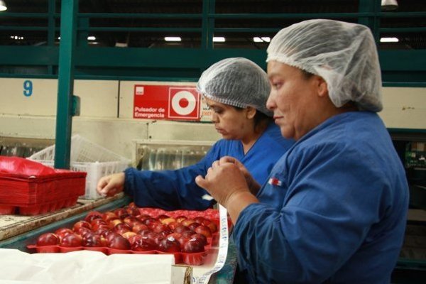 <p>Empresarios miran con cautela marcha de los negocios y destacan mayor disponibilidad de mano de obra migrante</p>