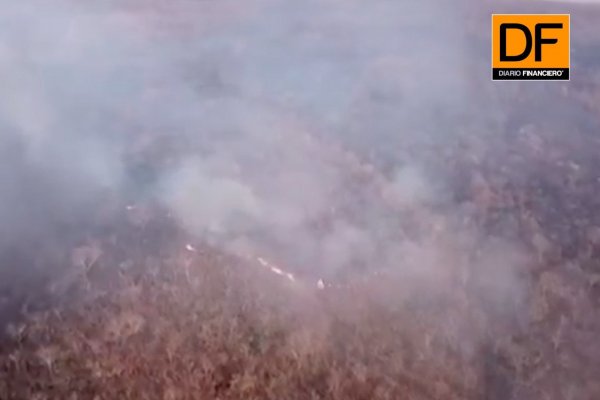 <p>Ahora en DF: Mientras los incendios en Amazonía continúa, Bolsonaro insinúa que las culpables son las ONG</p>
