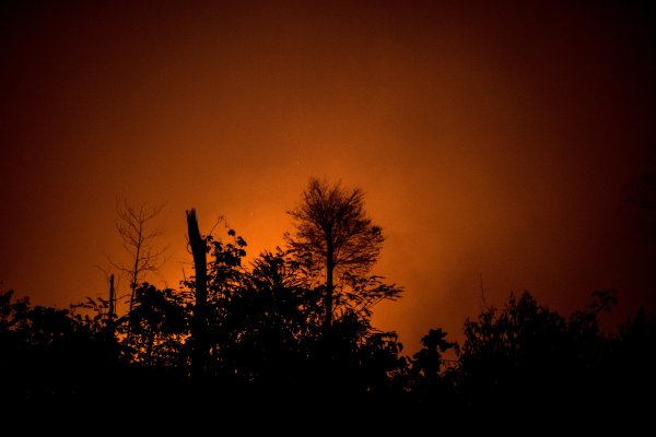 Empresas brasileñas temen reacción a crisis en la Amazonía