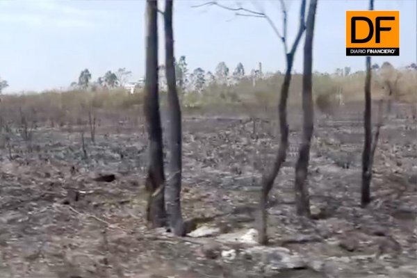<p>Reporte Global: La crisis ambiental en la Amazonía se ha convertido en un choque de fuerzas entre los líderes del mundo</p>