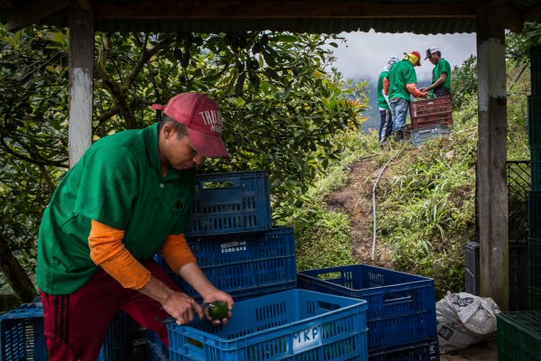 <p>Gobierno colombiano desestima rebajar jornada laboral y califica iniciativa como populismo electoral</p>
