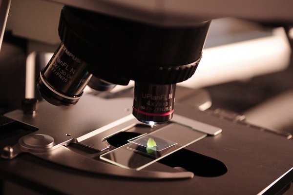 Johnson & Johnson anuncia asociación pública-privada para primer estudio de vacuna contra el VIH