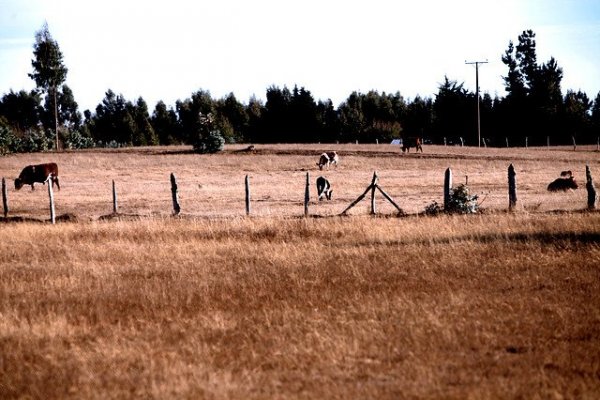 Emergencia hídrica: gobierno garantiza suministro de agua para el verano y US$ 5 mil millones en inversión de sanitarias